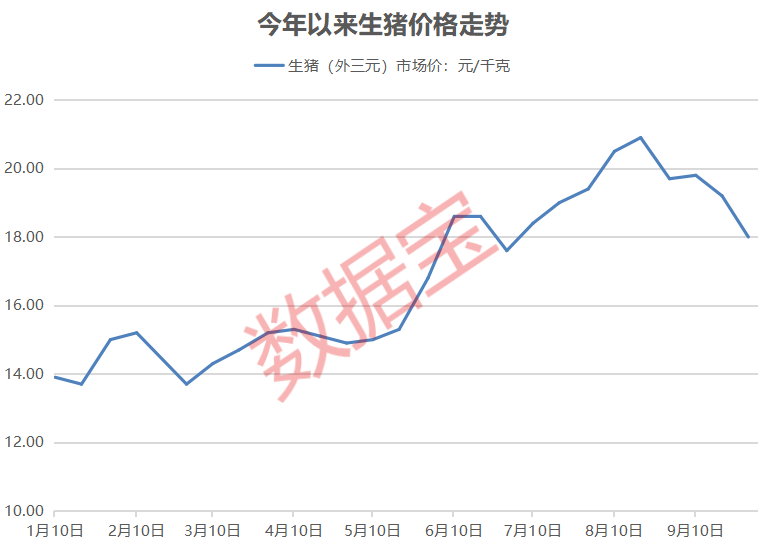 盈喜转板最新消息__盈喜股票