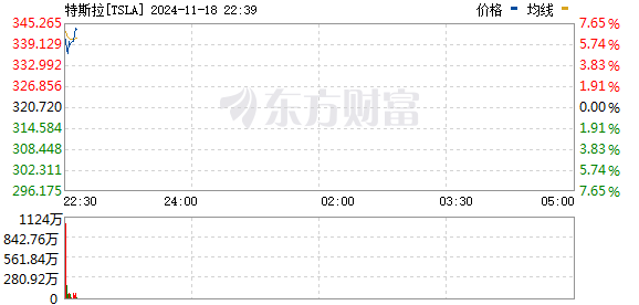 R图 TSLA_0