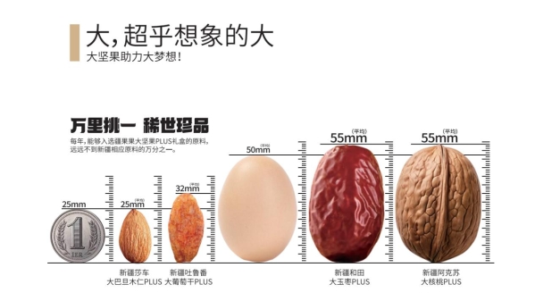 _新疆果满天下食品有限公司_沃疆果之初核桃奶公司简介