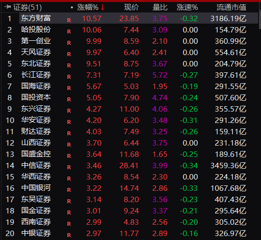 牛市的旗手_牛市旗手是什么意思_