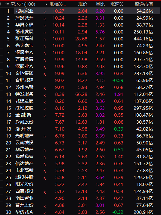 牛市的旗手_牛市旗手是什么意思_