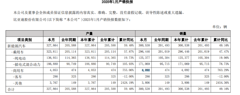 _比亚迪销量如何_比亚迪汽车业绩