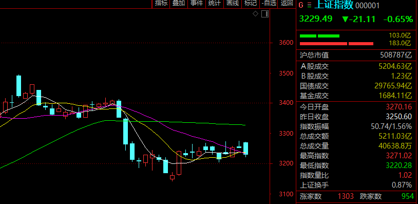 A股今日高开低走 科技股强蓝筹承压 计算机行业主力资金流入居首