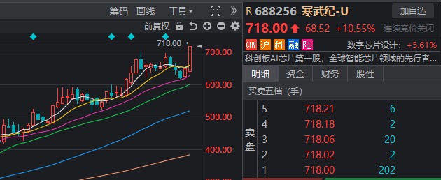 _股市反弹一般先涨什么股_股票暴跌反弹涨停