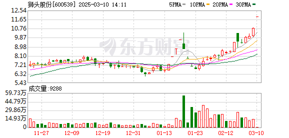 徐开东概念股火爆！狮头股份重大重组利好引发多股涨停