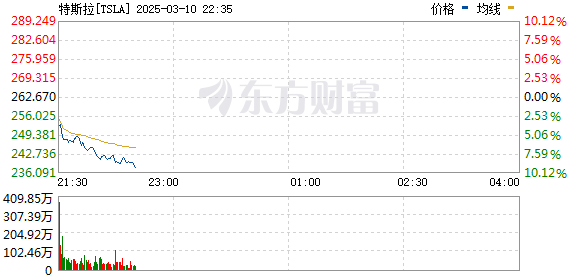 R图 TSLA_0