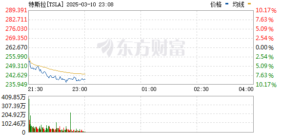 R图 TSLA_0