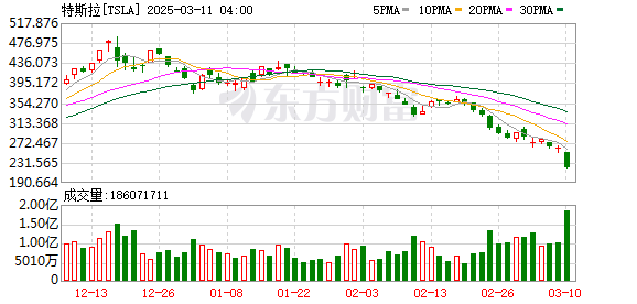 K图 TSLA_0