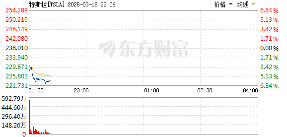 R图 TSLA_0